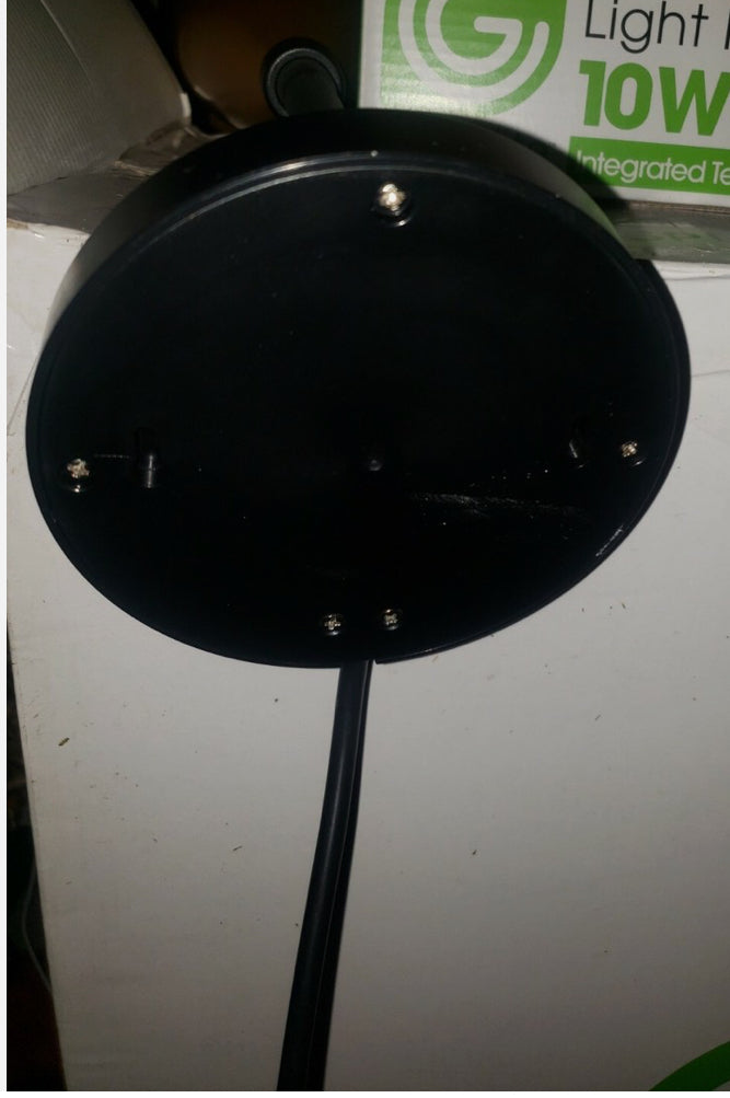 New Greenlite Gold Sconce Light