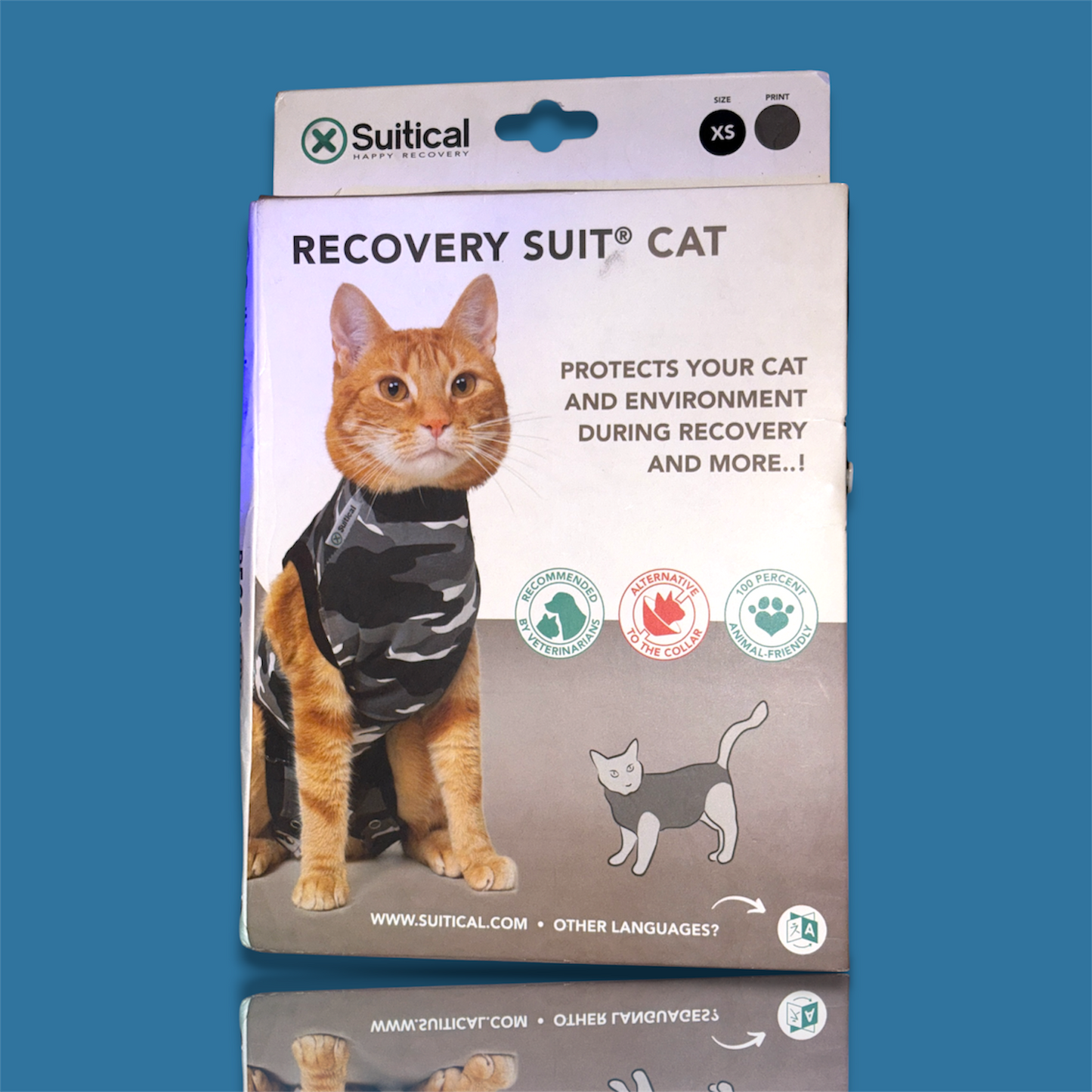 Recovery suit