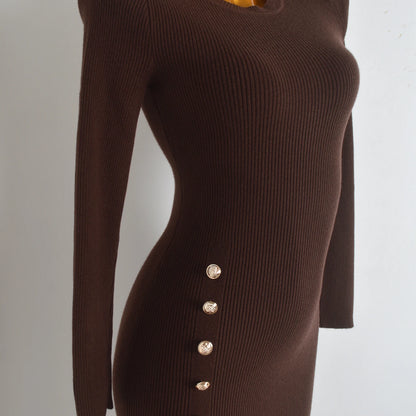 Spring Autumn Knitted Elastic Waist Dress Coat Design Button round Neck Bodycon Skirt Casual Style Long Sleeve Women's Dress