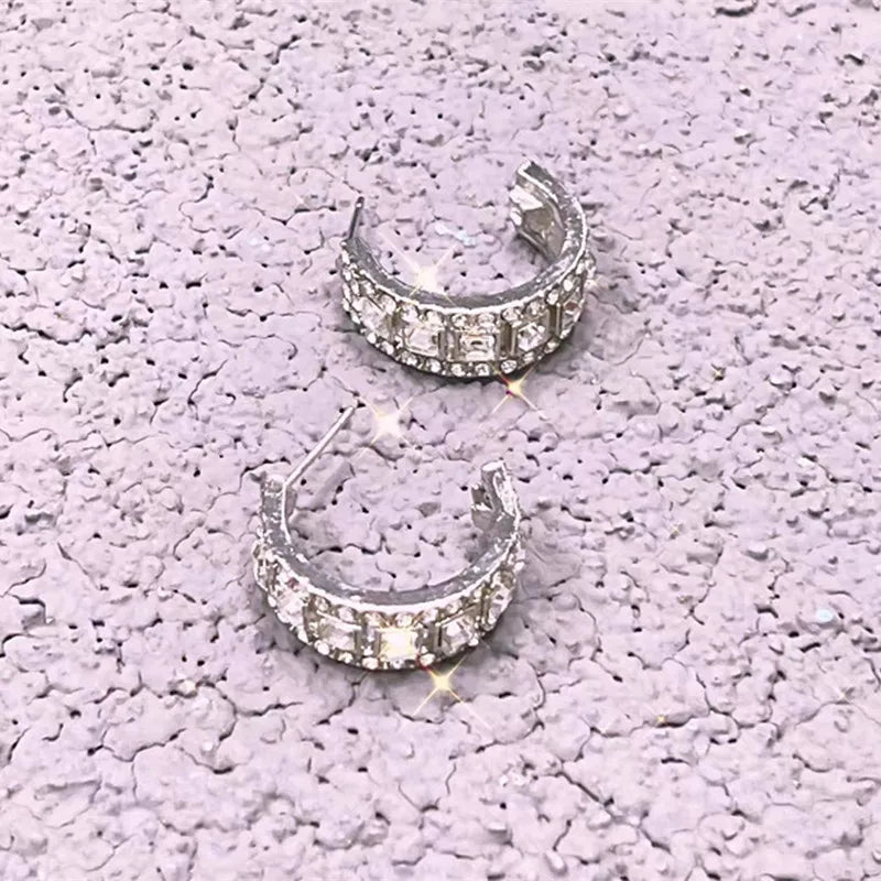 New Vintage Statement Gray Crystal Leaf Earrings for Women Fashion Unique Accessories Party Jewelry Birthday Anniversary Gifts