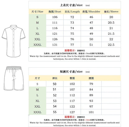 New 2024 Men's Polo Suit Fashion Men Sets Solid Summer V-neck Zipper Short Sleeve POLO Shirt+Shorts Two Pieces Men Casual Suit